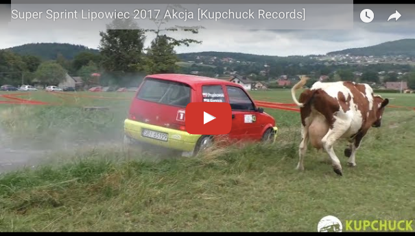 チンクエチェントとウシの激突！？ ［ ポーランド ラリーイベントのムービーから ］