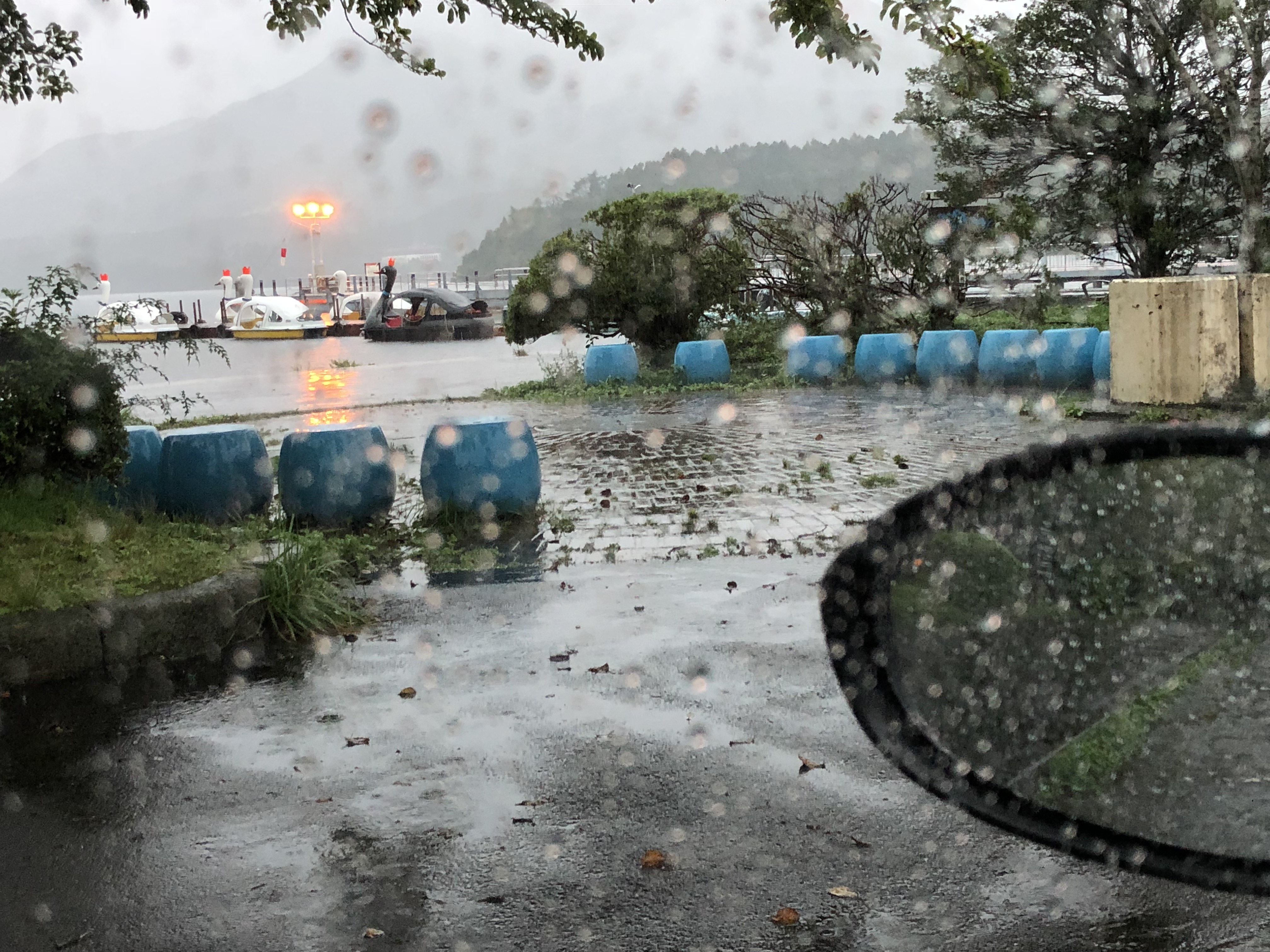 雨の峠道。フォグランプ、「わ」ナンバー。