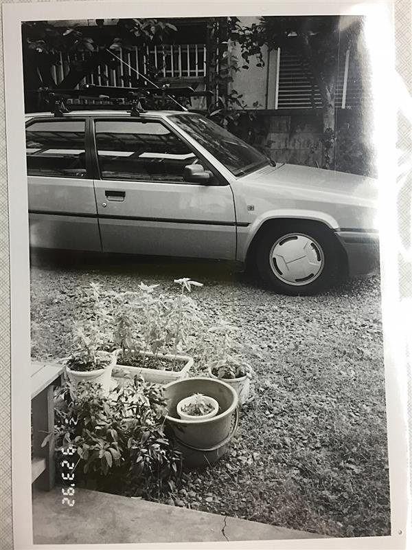 クルマ不毛の、僕の10年。セナがいなくなって、アルファ147が出た。