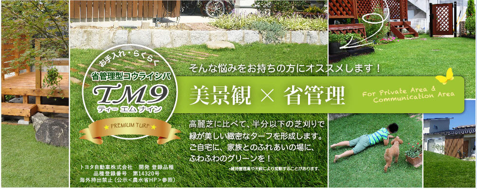 トヨタは芝生も作ってる、ってホント？ ［ 年間2億円くらいの削減効果！？ ］
