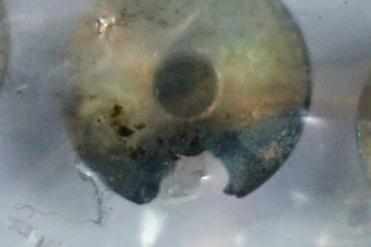 たまにはエンジン回そうぜ ［ そうしないとこうなるよ ］